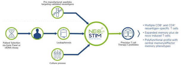 neo-stcproductdiagram.jpg