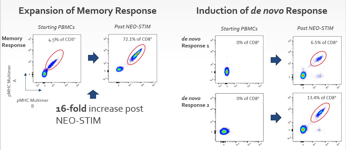 neostimresponses.jpg