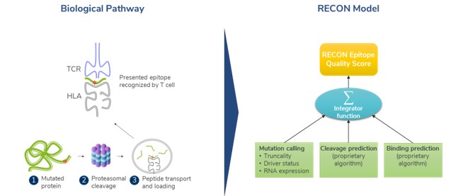 recon-overview.jpg