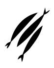 A black feather with a white background

Description automatically generated with low confidence