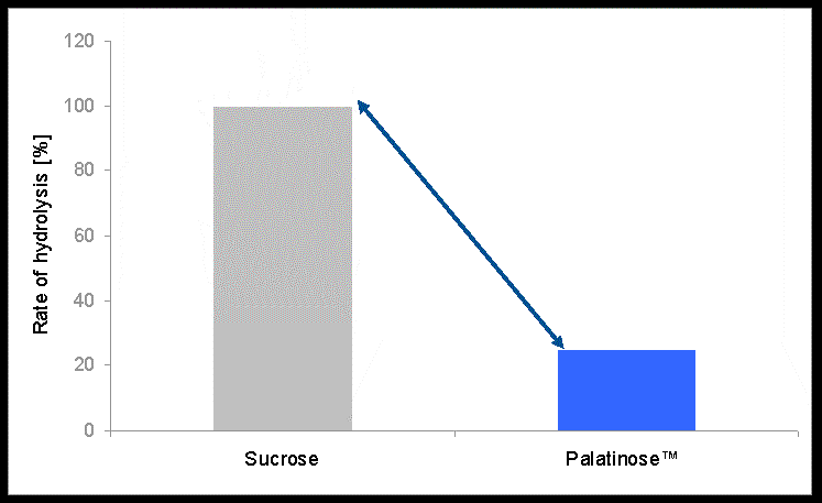 [ingredientstudies95.gif]