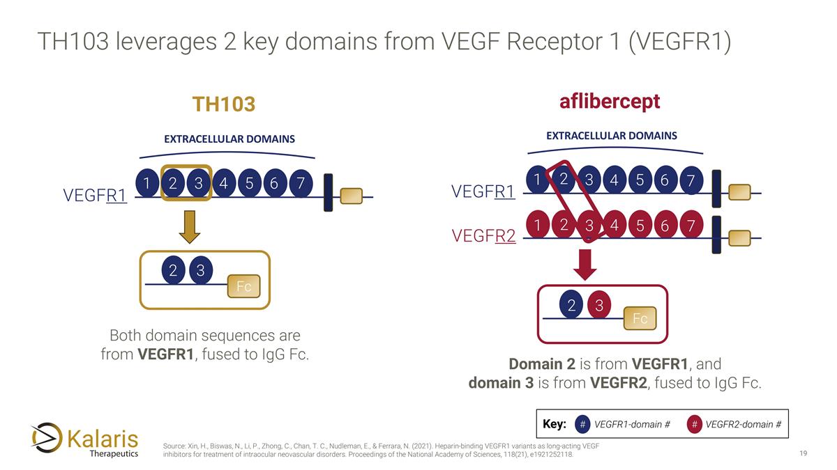 Slide 19