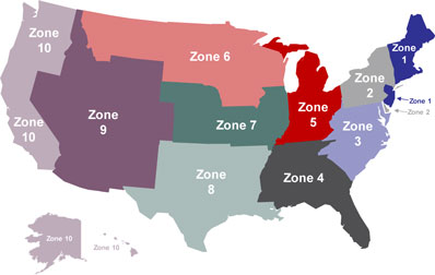 Usps Zone Chart Map 2019 Directory List Of /Archives/Edgar/Data/1759774/000161577419005250