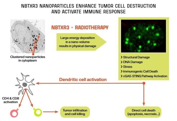 nbx-20201231_g4.jpg