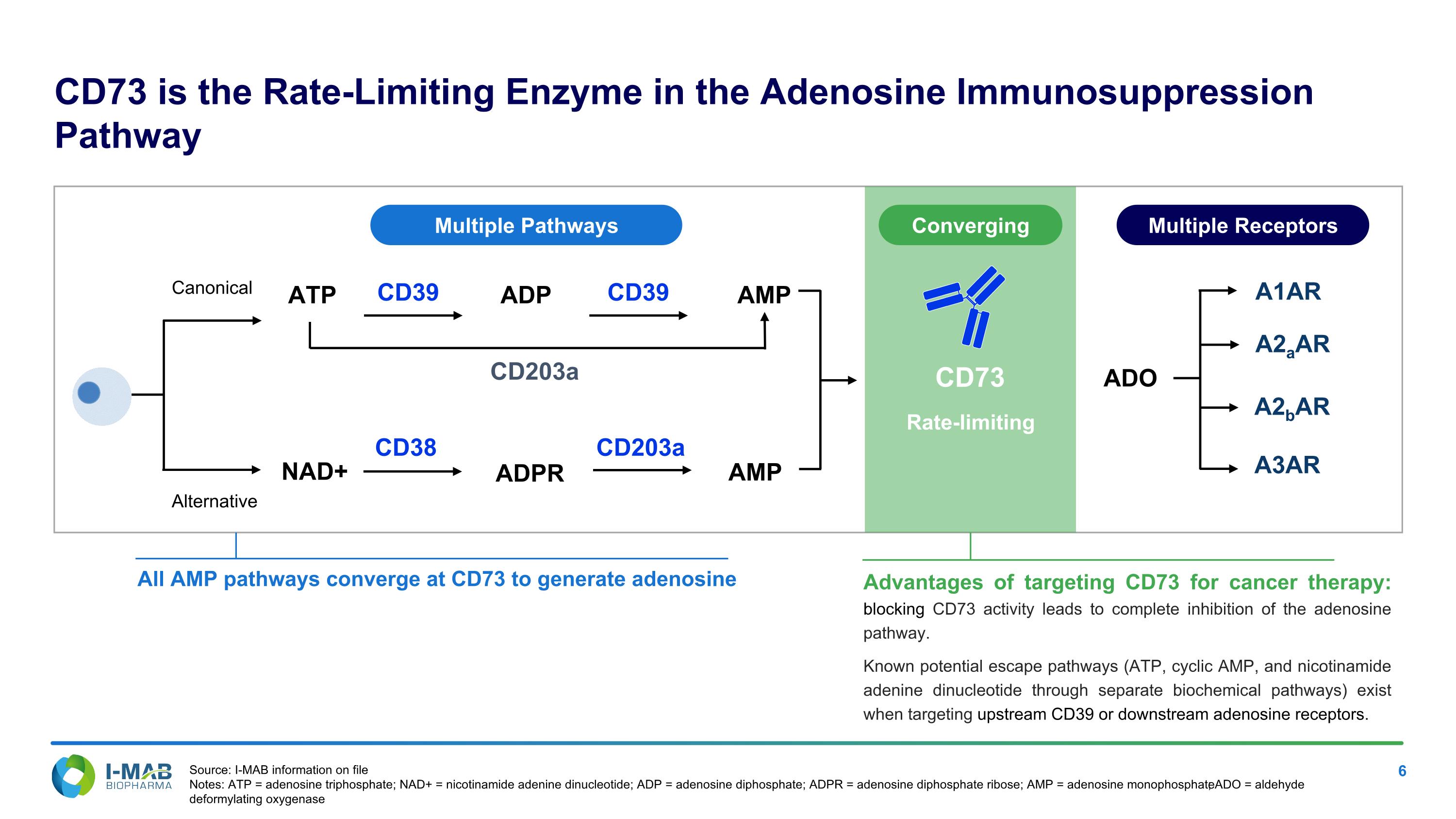 Slide 6