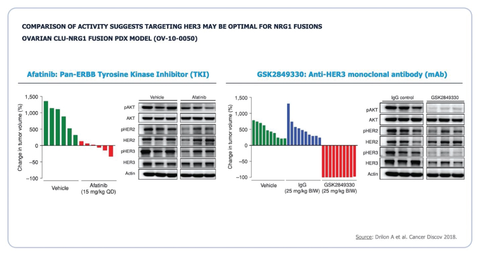 [MISSING IMAGE: tm2111147d1-tbl_optimal4clr.jpg]