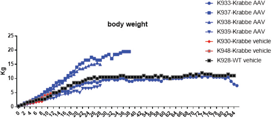 <notrans>[</notrans>MISSING IMAGE: https://www.sec.gov/Archives/edgar/data/1787297/000110465921006683/tm2038048d1-lc_bodyweig4clr.jpg<notrans>]</notrans>