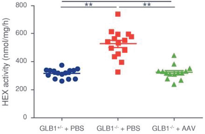 <notrans>[</notrans>MISSING IMAGE: https://www.sec.gov/Archives/edgar/data/1787297/000110465921006683/tm2038048d1-lc_hexacti4clr.jpg<notrans>]</notrans>