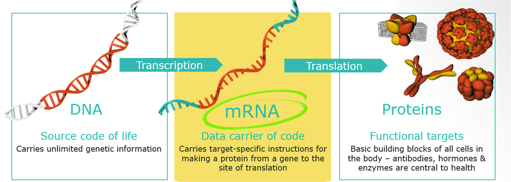 [MISSING IMAGE: tm2016252d6_fc-transfpo4c.jpg]