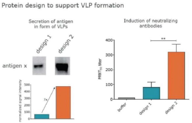 <notrans>[</notrans>MISSING IMAGE: https://www.sec.gov/Archives/edgar/data/1809122/000110465921009416/tm2036979d1-bc_protein4clr.jpg<notrans>]</notrans>