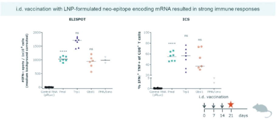 <notrans>[</notrans>MISSING IMAGE: https://www.sec.gov/Archives/edgar/data/1809122/000110465921009416/tm2036979d1-pht_vaccin4clr.jpg<notrans>]</notrans>