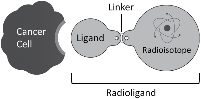 [MISSING IMAGE: tm2110299d1-fc_canccelbwlr.jpg]