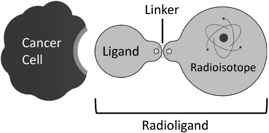 [MISSING IMAGE: tm2110299d4-fc_canccelbwlr.jpg]