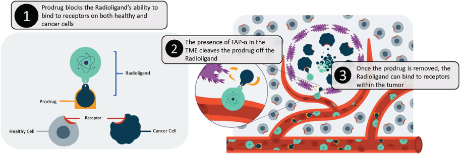 [MISSING IMAGE: tm2110299d4-fc_pnt20054clr.jpg]