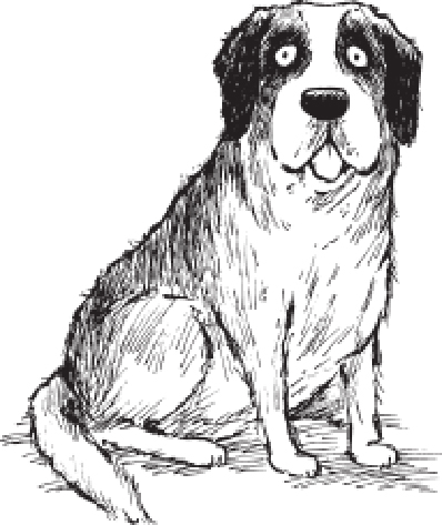 StBernard.jpg