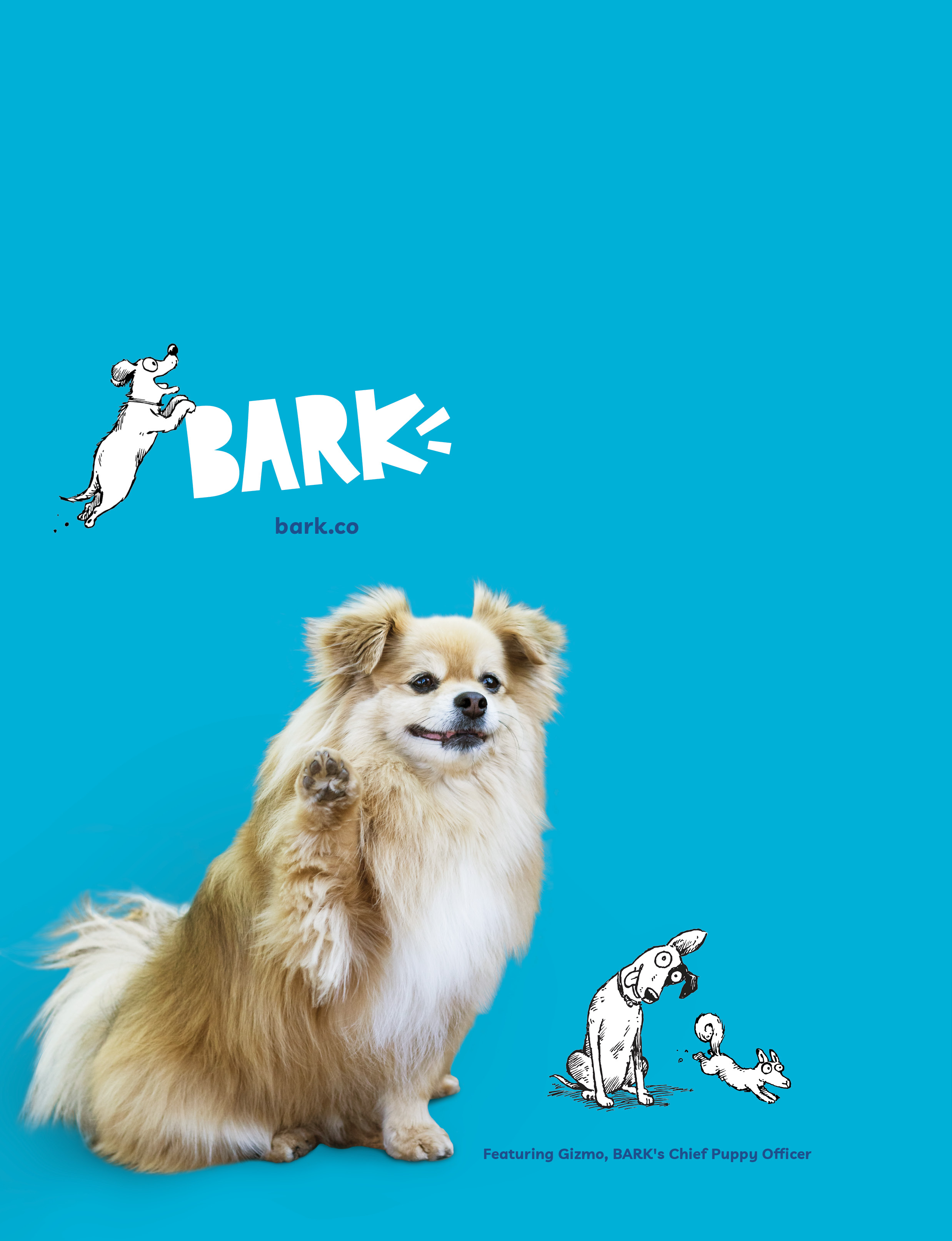 073124_BarkBox_2024_Covers_FIN REV2.jpg