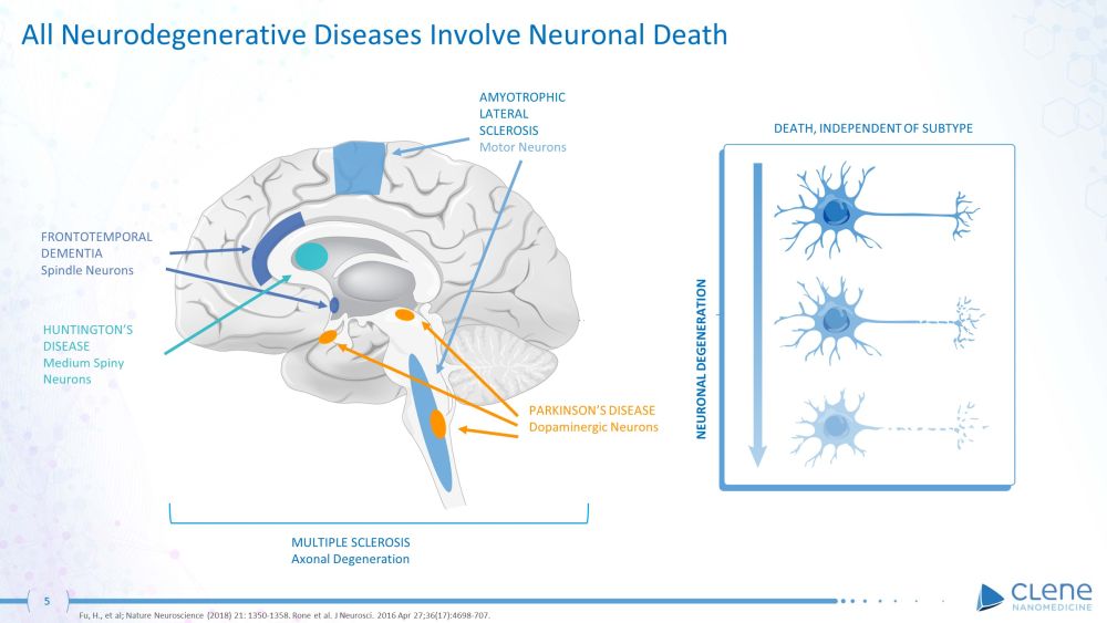 slide05.jpg