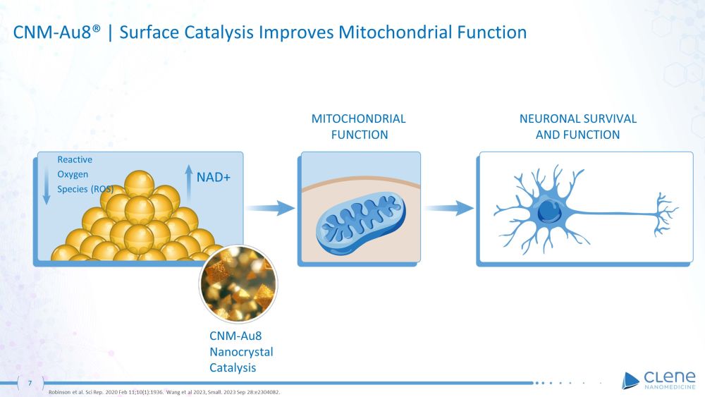 slide07.jpg