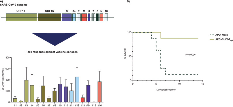 [MISSING IMAGE: bc_sarsgenome-4c.jpg]