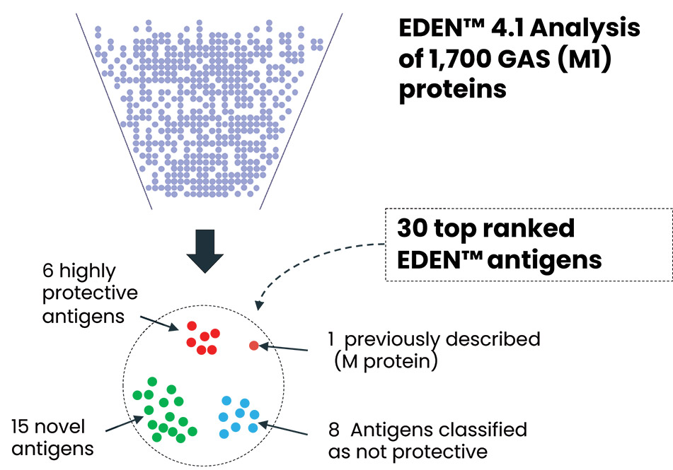 [MISSING IMAGE: fc_proteins-4c.jpg]