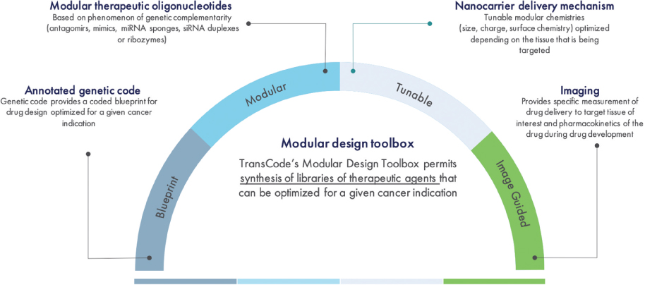 [MISSING IMAGE: tm2038085d5-fc_modular4c.jpg]