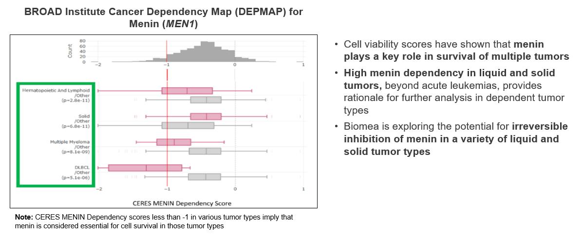 Therapeutic implications of menin inhibition in acute leukemias