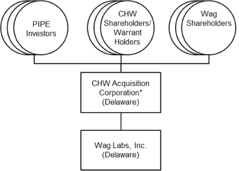 [MISSING IMAGE: tm225794d1-fc_waglabsbwlr.jpg]