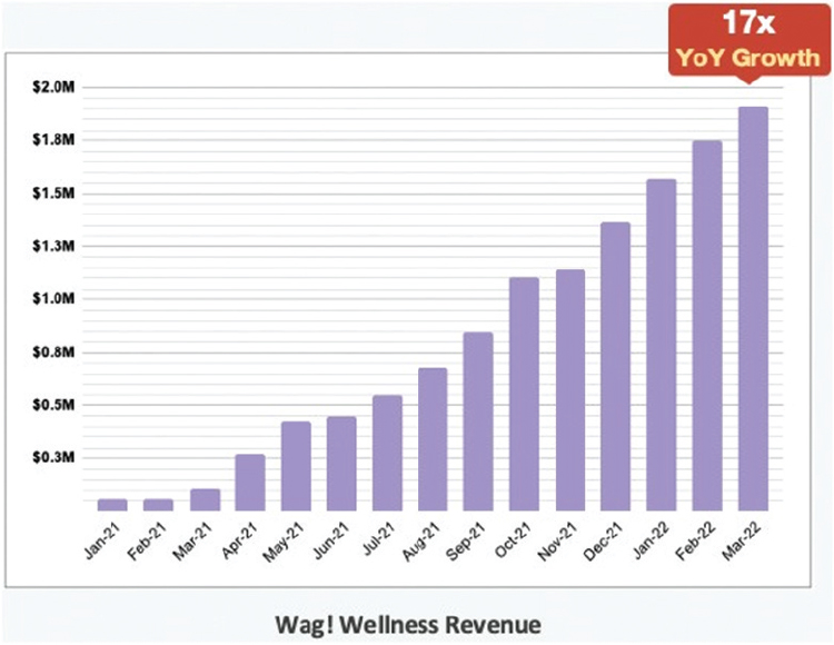 [MISSING IMAGE: tm2222804d1-bc_wellness4clr.jpg]