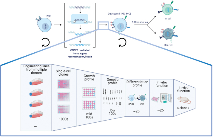 [MISSING IMAGE: tm218551d3-ph_stages4clr.jpg]