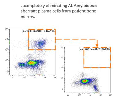 A screenshot of a graph

Description automatically generated