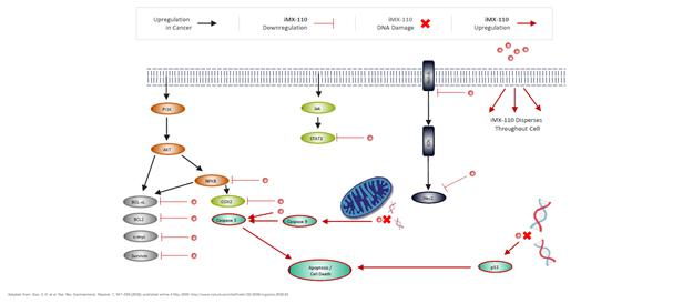 A computer screen shot of a diagram

Description automatically generated