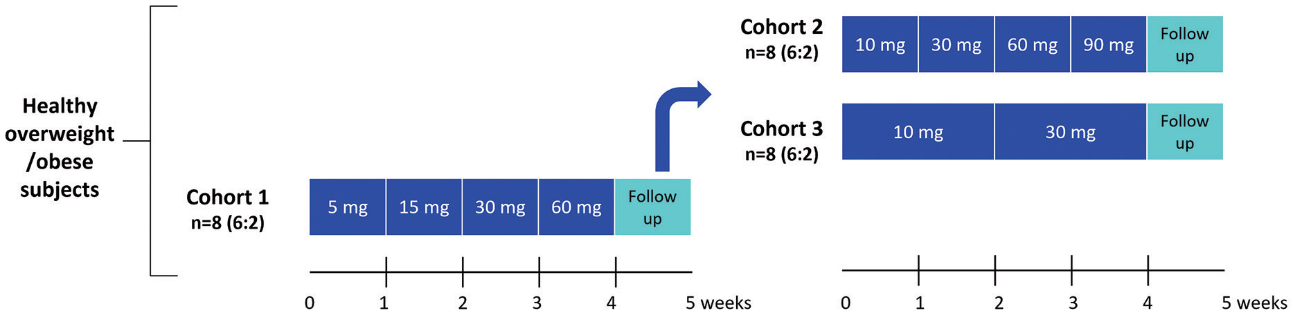 [MISSING IMAGE: tb_schemaphase1-4c.jpg]