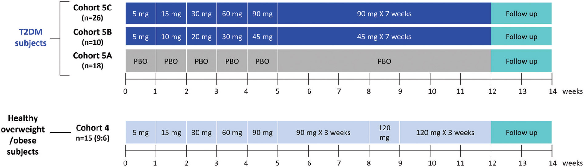 [MISSING IMAGE: tb_schemaphase2-4c.jpg]