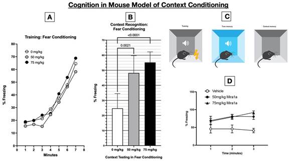 A diagram of a model of context conditioning

Description automatically generated