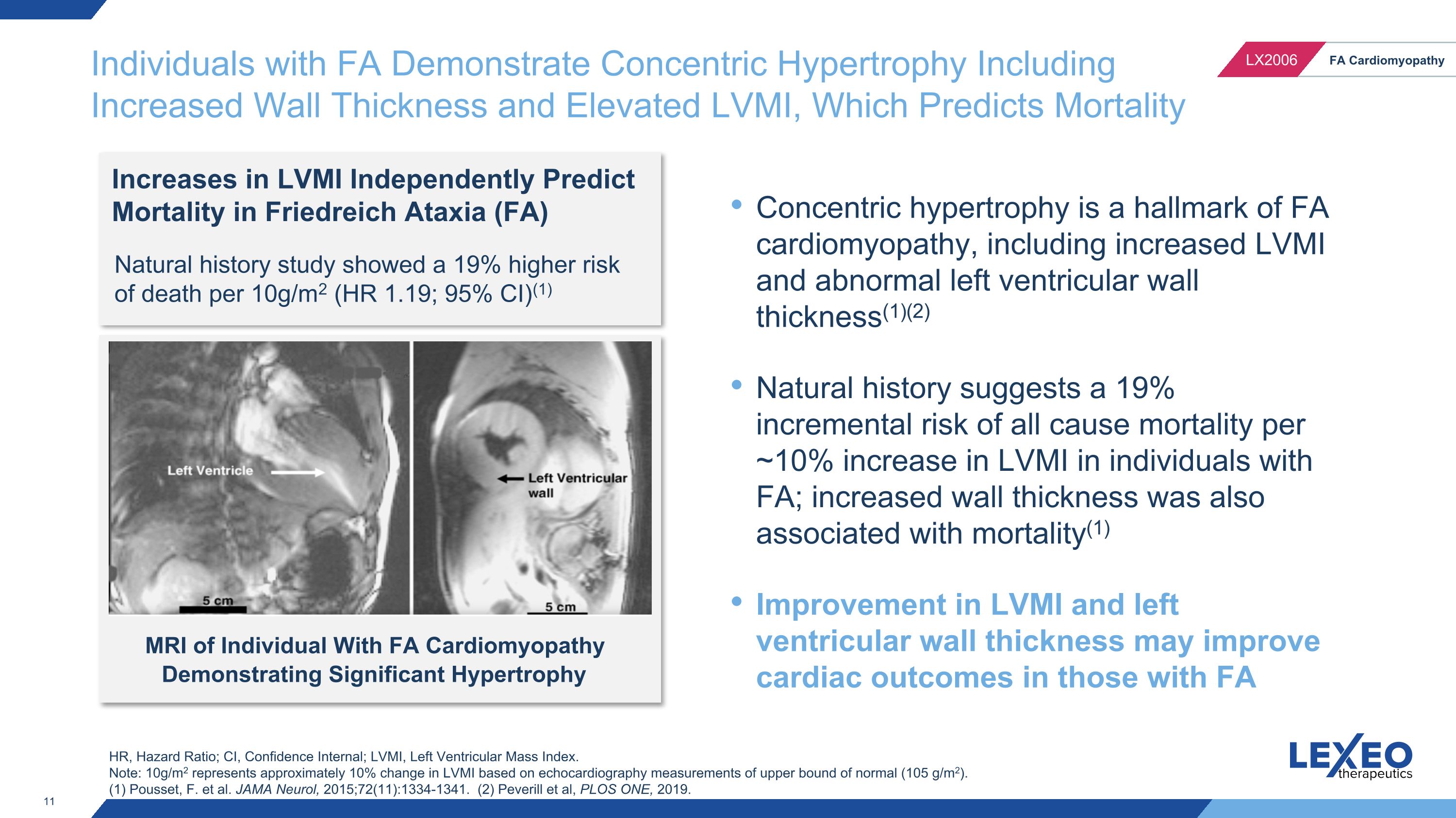 Slide 11