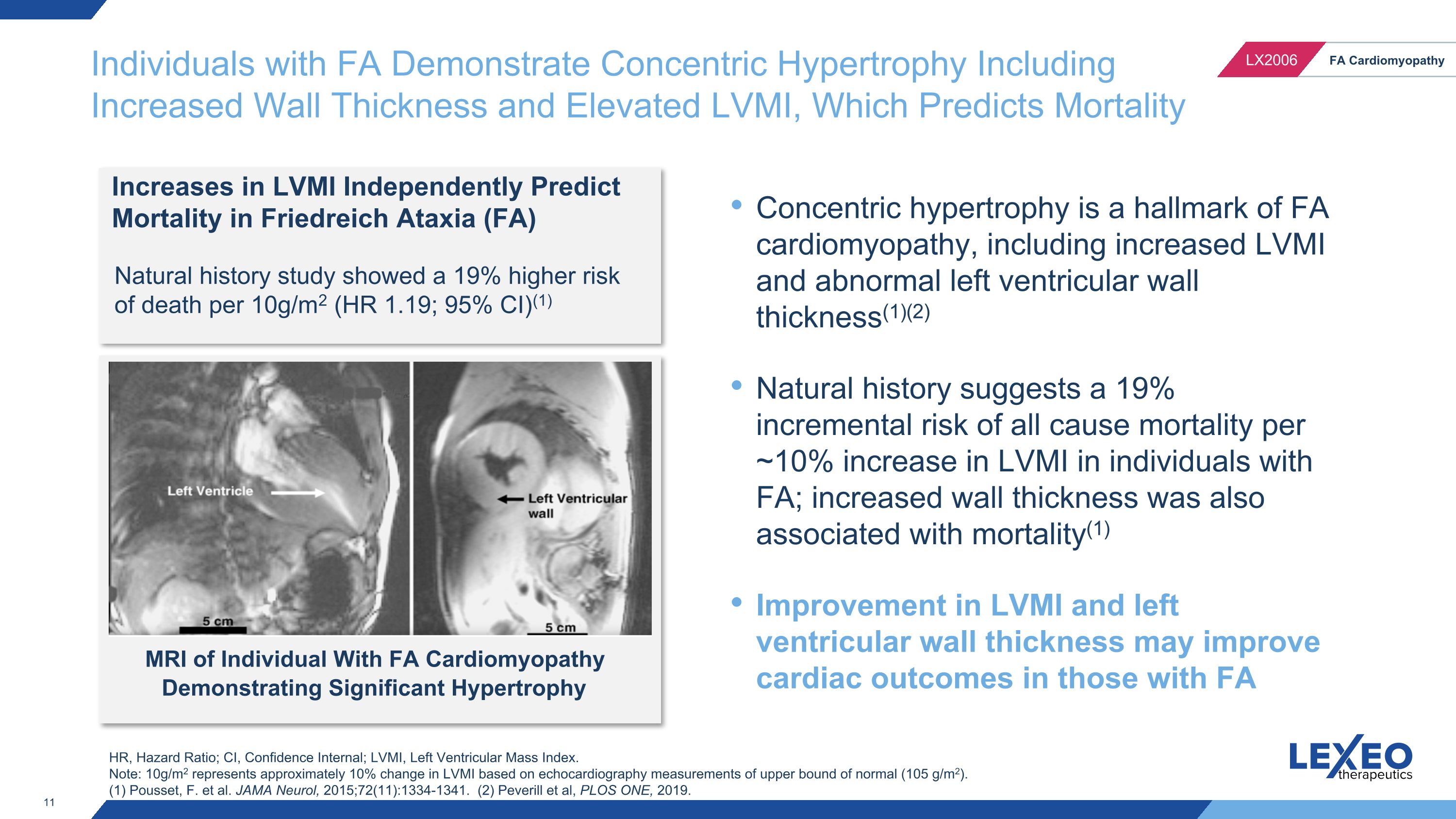 Slide 11