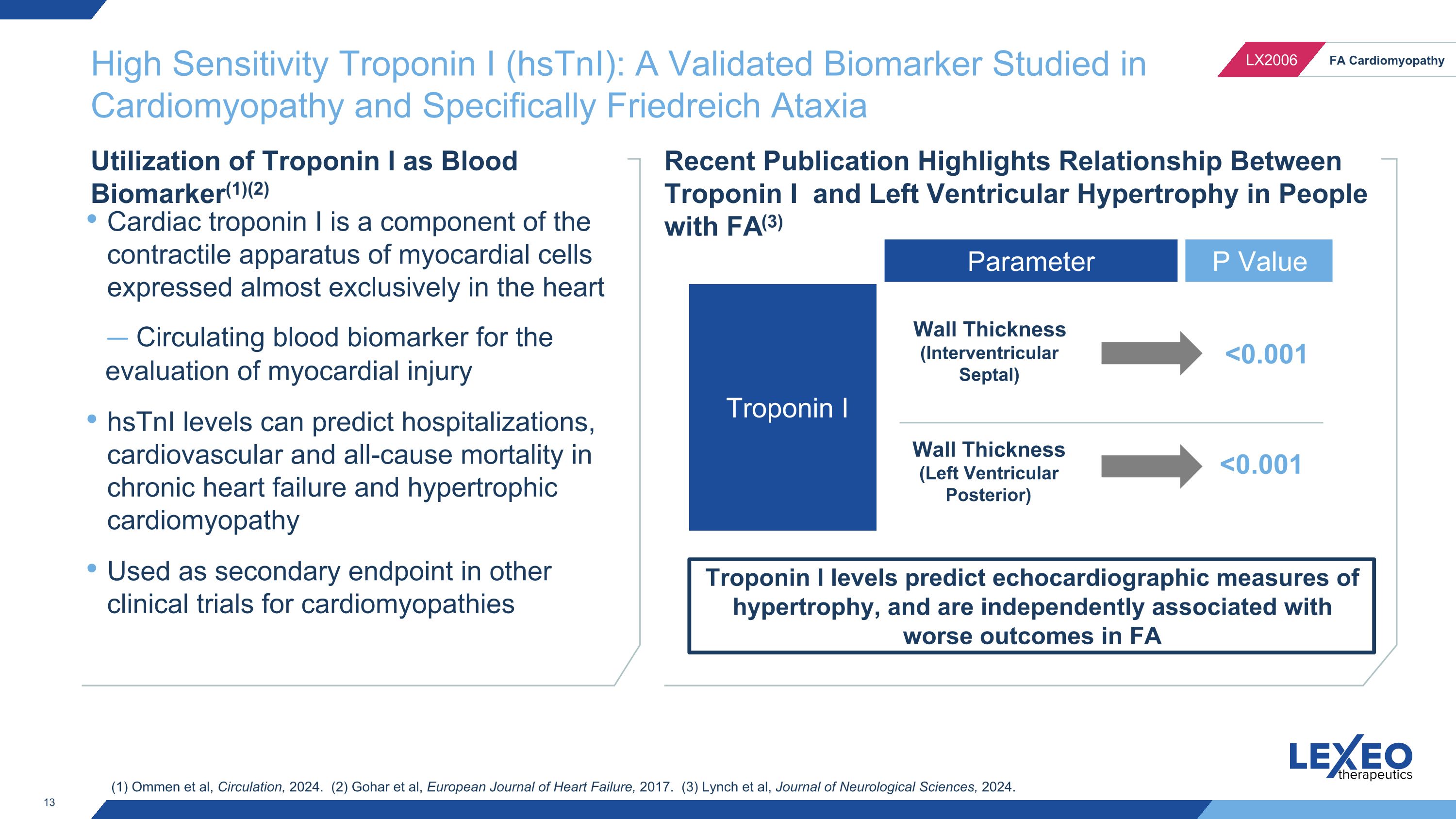 Slide 13