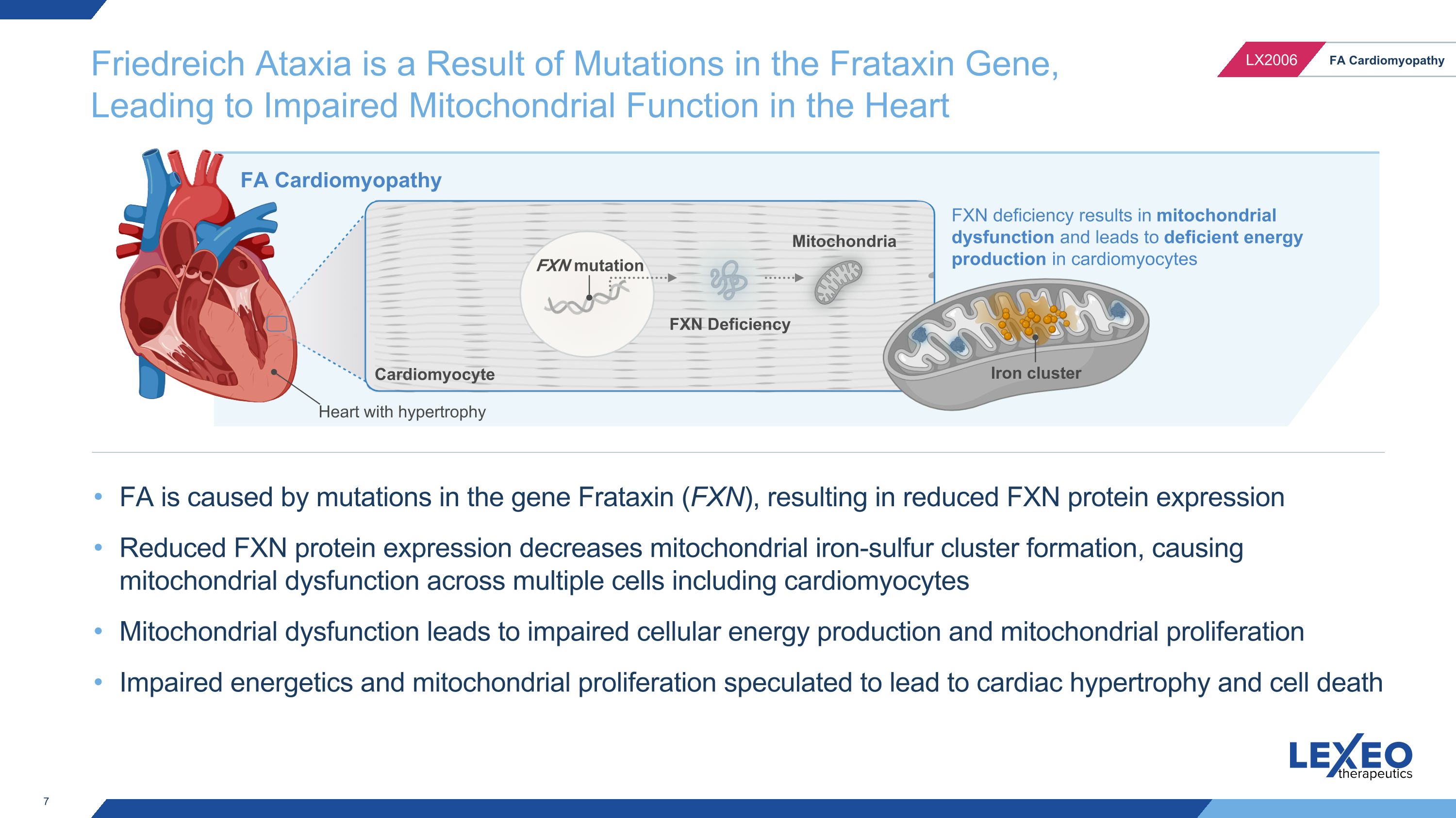 Slide 7