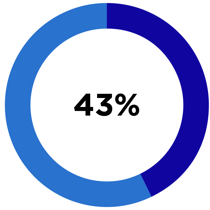 piechart_genderdiv.jpg