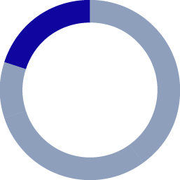 pie_remuneration-policy_20% Emissions.jpg