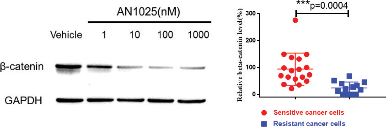 [MISSING IMAGE: tm2225088d1-lc_sensitve4clr.jpg]