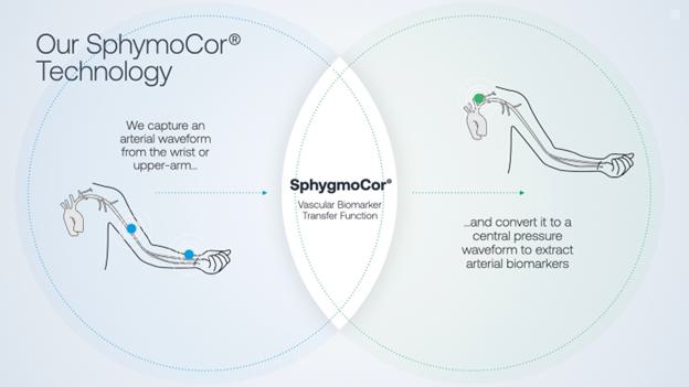 US FDA grants 510(k) for CardieX's arterial health monitor