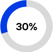 piechart_30a.jpg