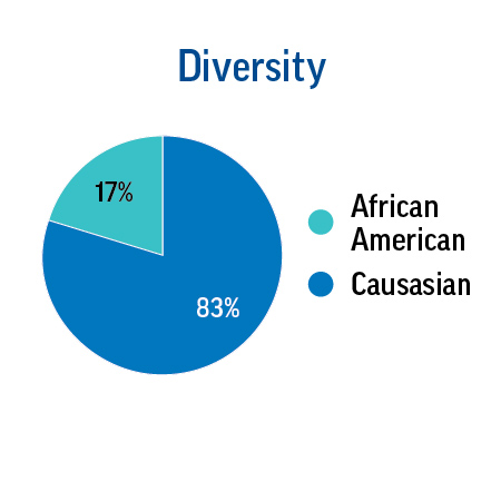 proxypiecharts2020diversity.jpg