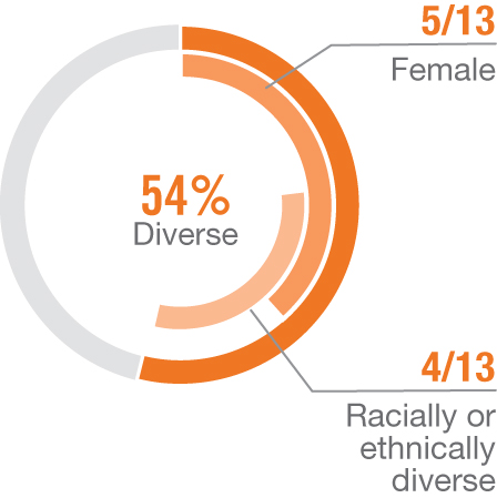 pg5_gfx-diversity.jpg