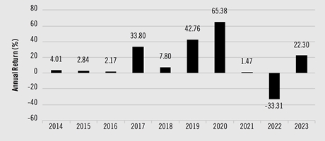 PerformanceBarChartData(2014:4.01,2015:2.84,2016:2.17,2017:33.8,2018:7.8,2019:42.76,2020:65.38,2021:1.47,2022:-33.31,2023:22.3)