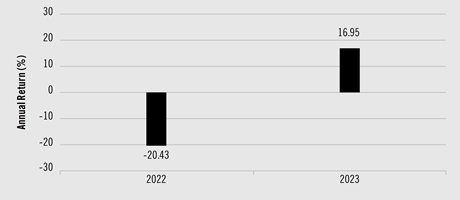 PerformanceBarChartData(2022:-20.43,2023:16.95)