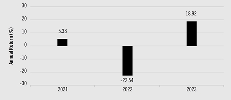 PerformanceBarChartData(2021:5.38,2022:-22.54,2023:18.92)