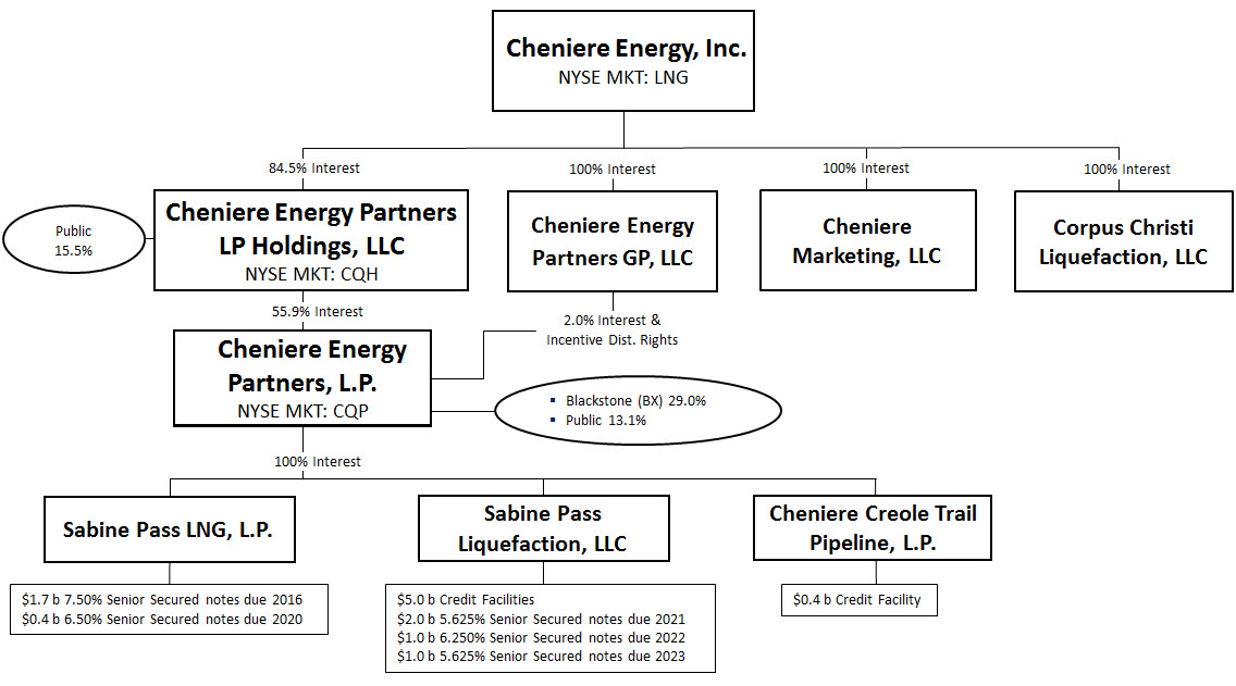 CEI 2013 Form 10K