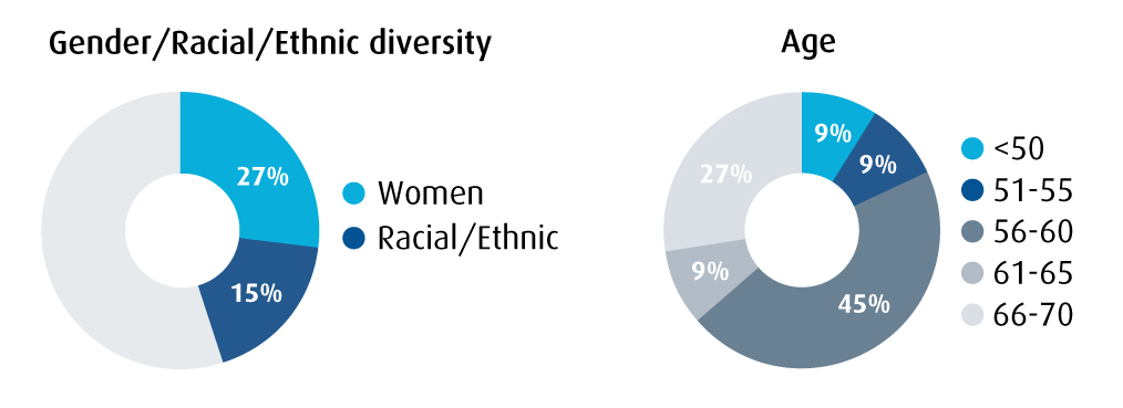 genderethnicdiversity.jpg